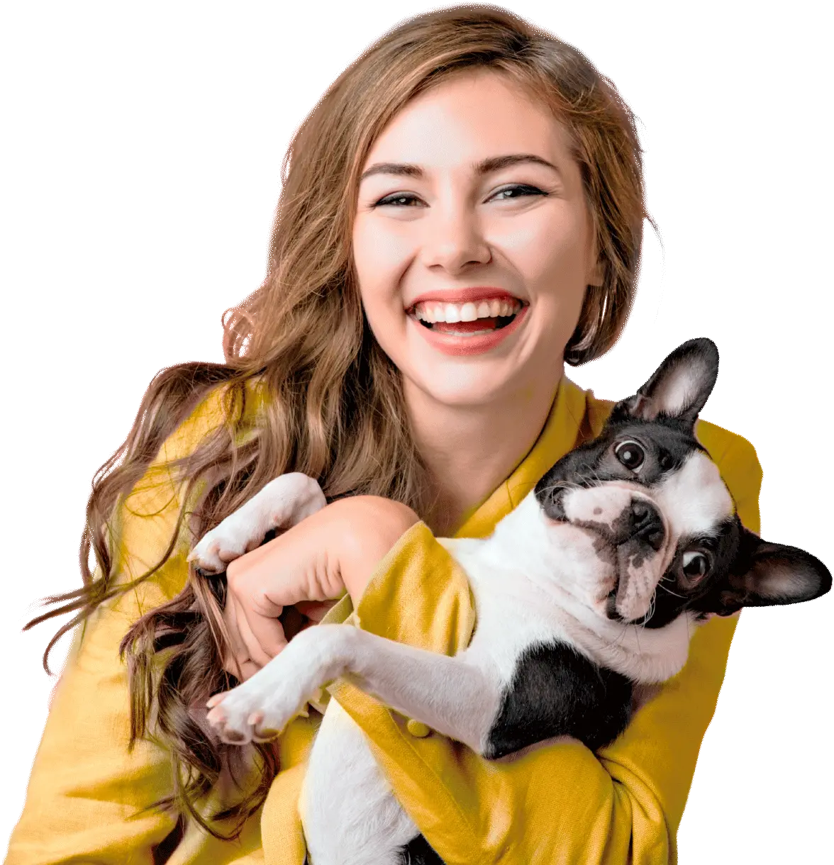 Clinica Veterinária Salva Pet