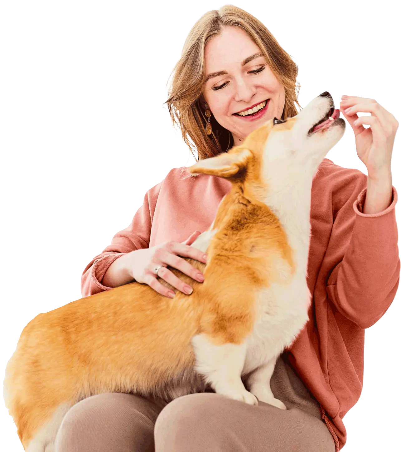 Clinica Veterinária Salva Pet